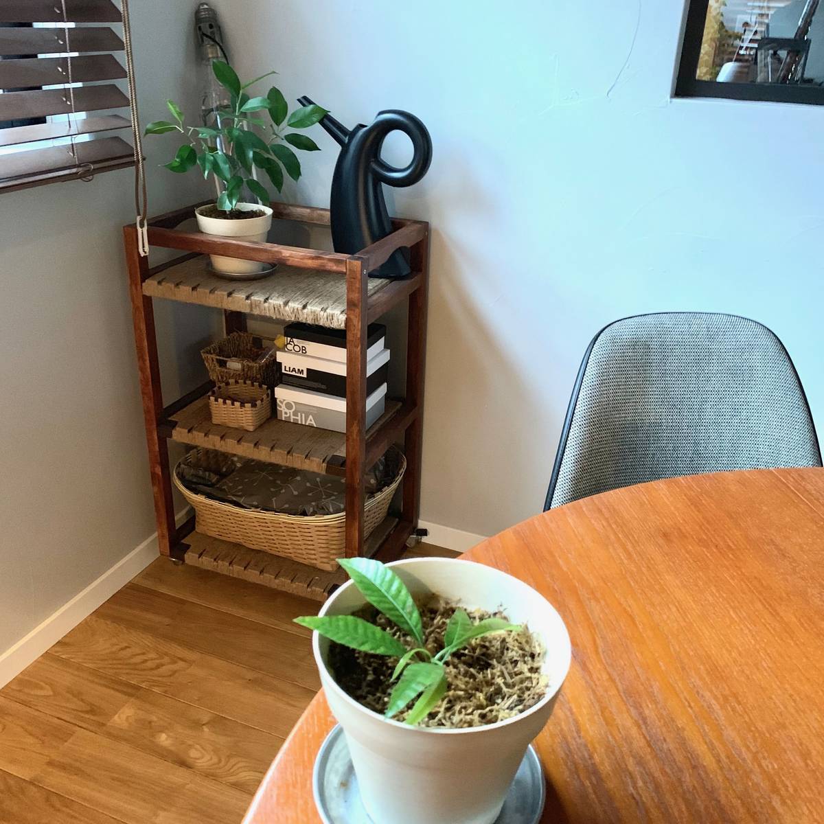 f:id:mashley_slt:20190426000207j:plain