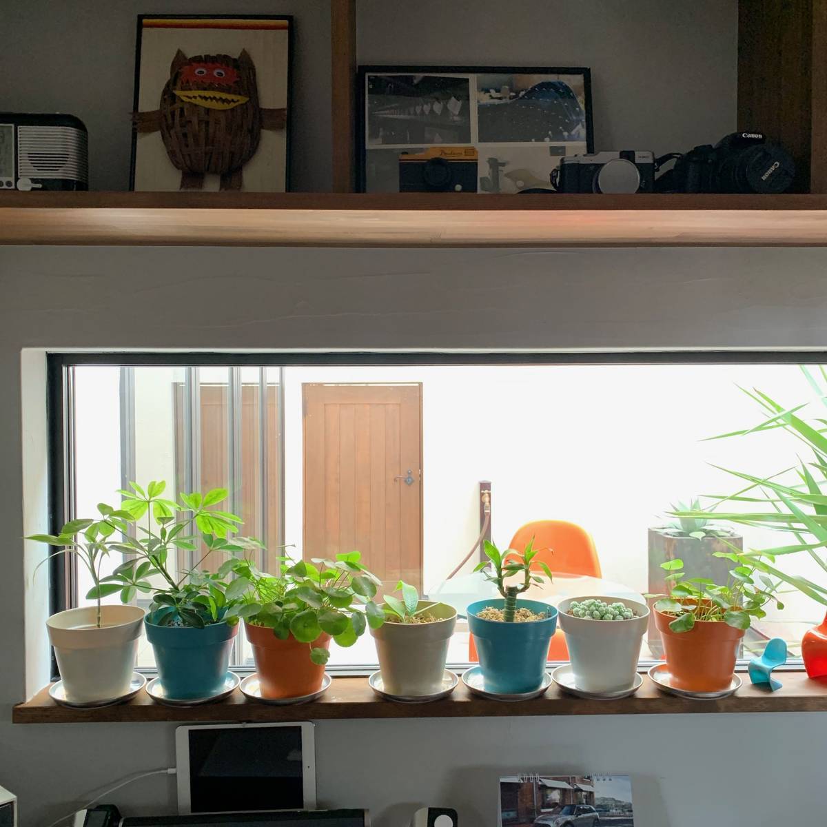 f:id:mashley_slt:20190426000645j:plain