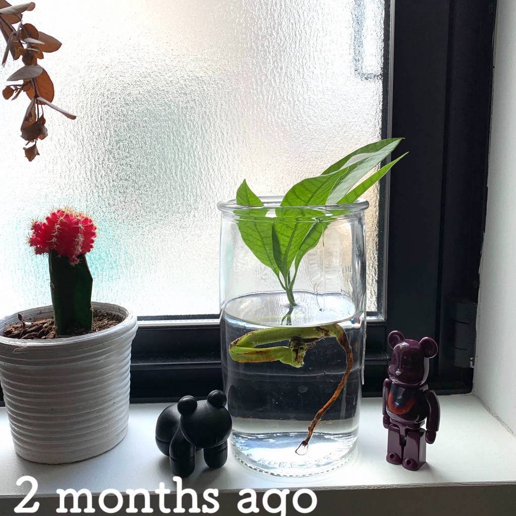 f:id:mashley_slt:20190426001658j:plain