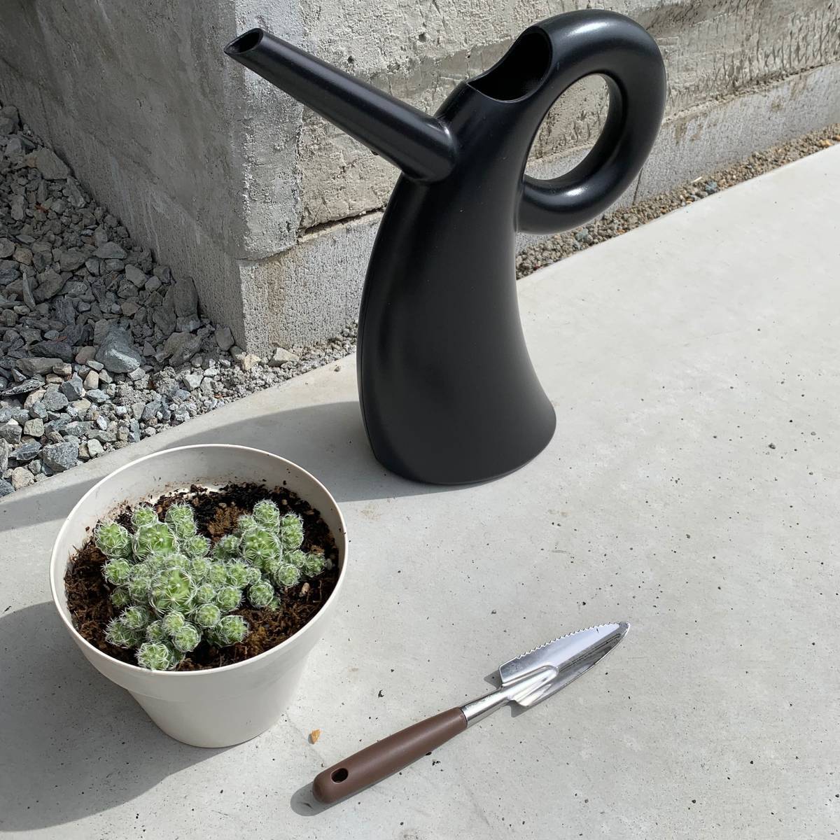 f:id:mashley_slt:20190426002909j:plain