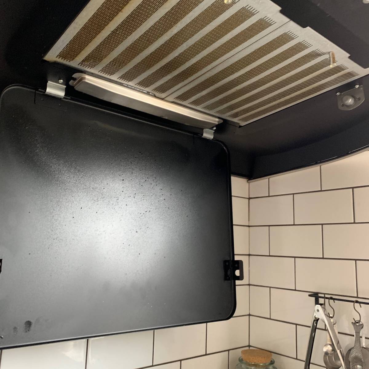 f:id:mashley_slt:20190428233023j:plain