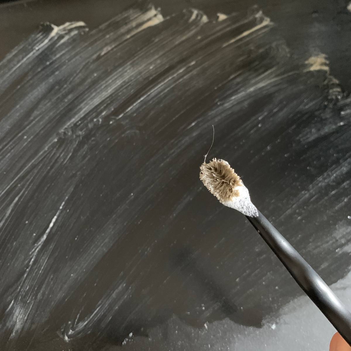 f:id:mashley_slt:20190428235150j:plain