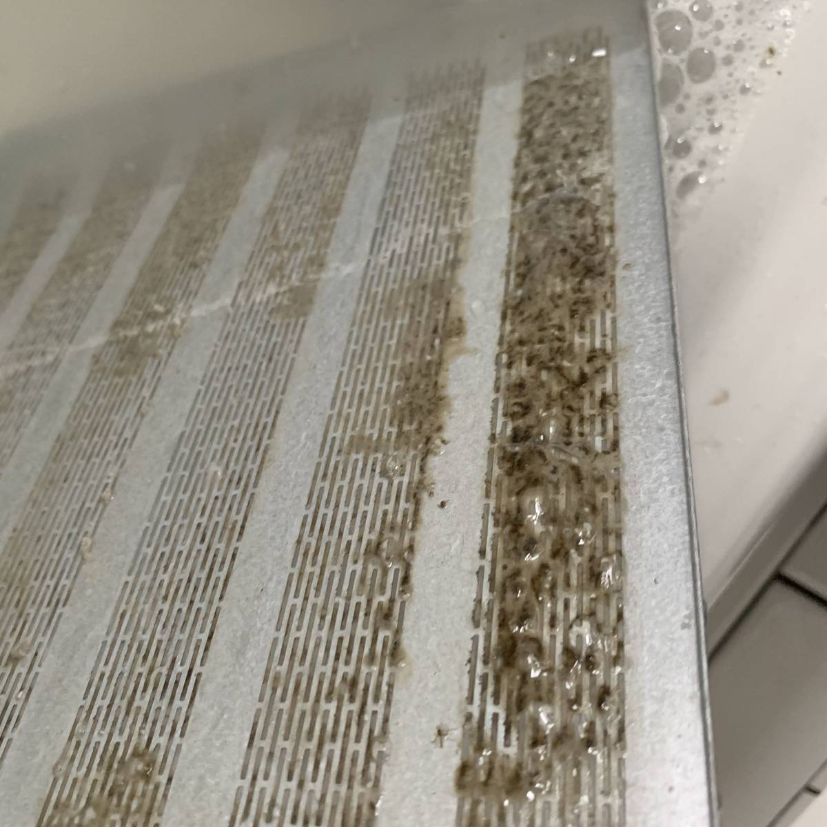 f:id:mashley_slt:20190428235900j:plain