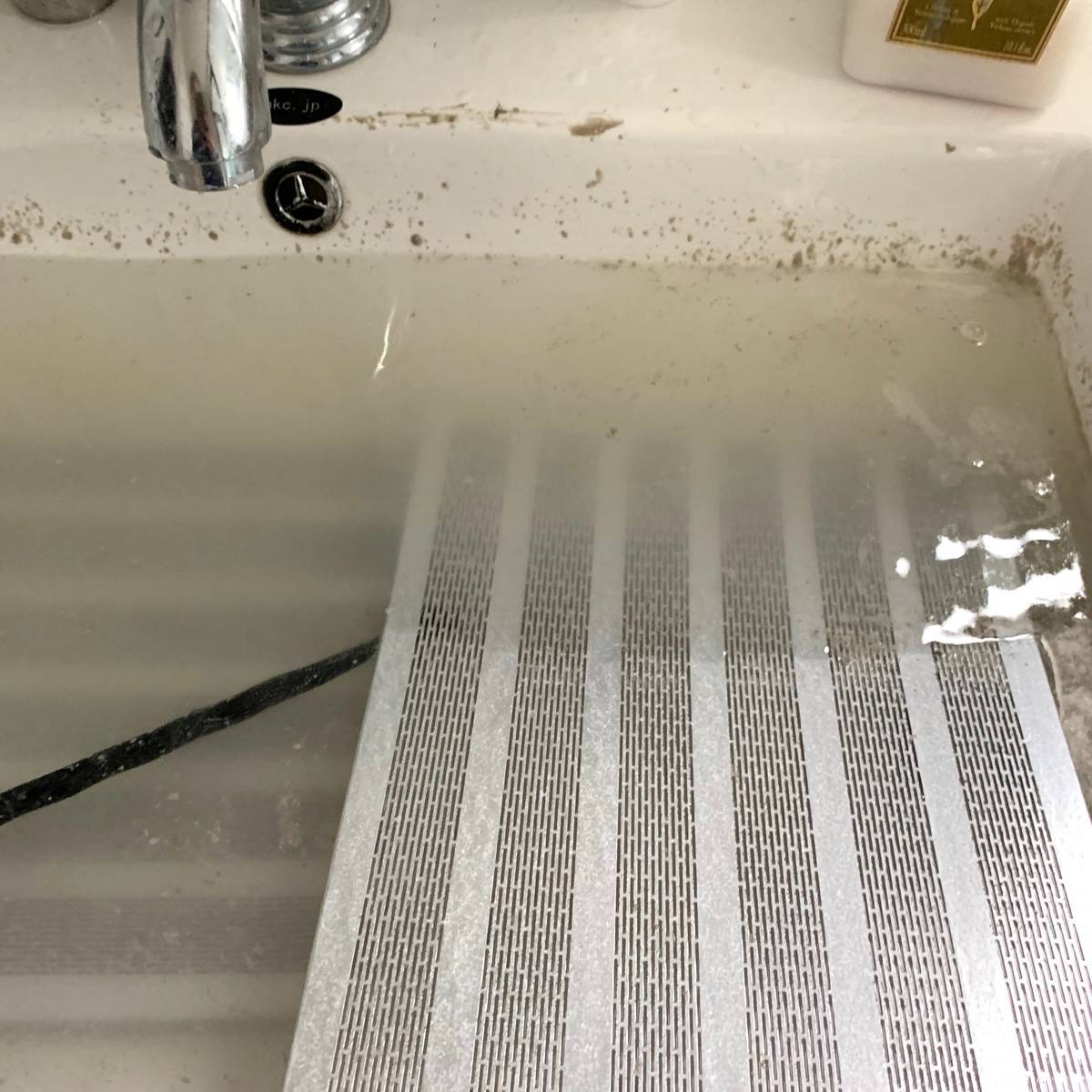 f:id:mashley_slt:20190429000036j:plain