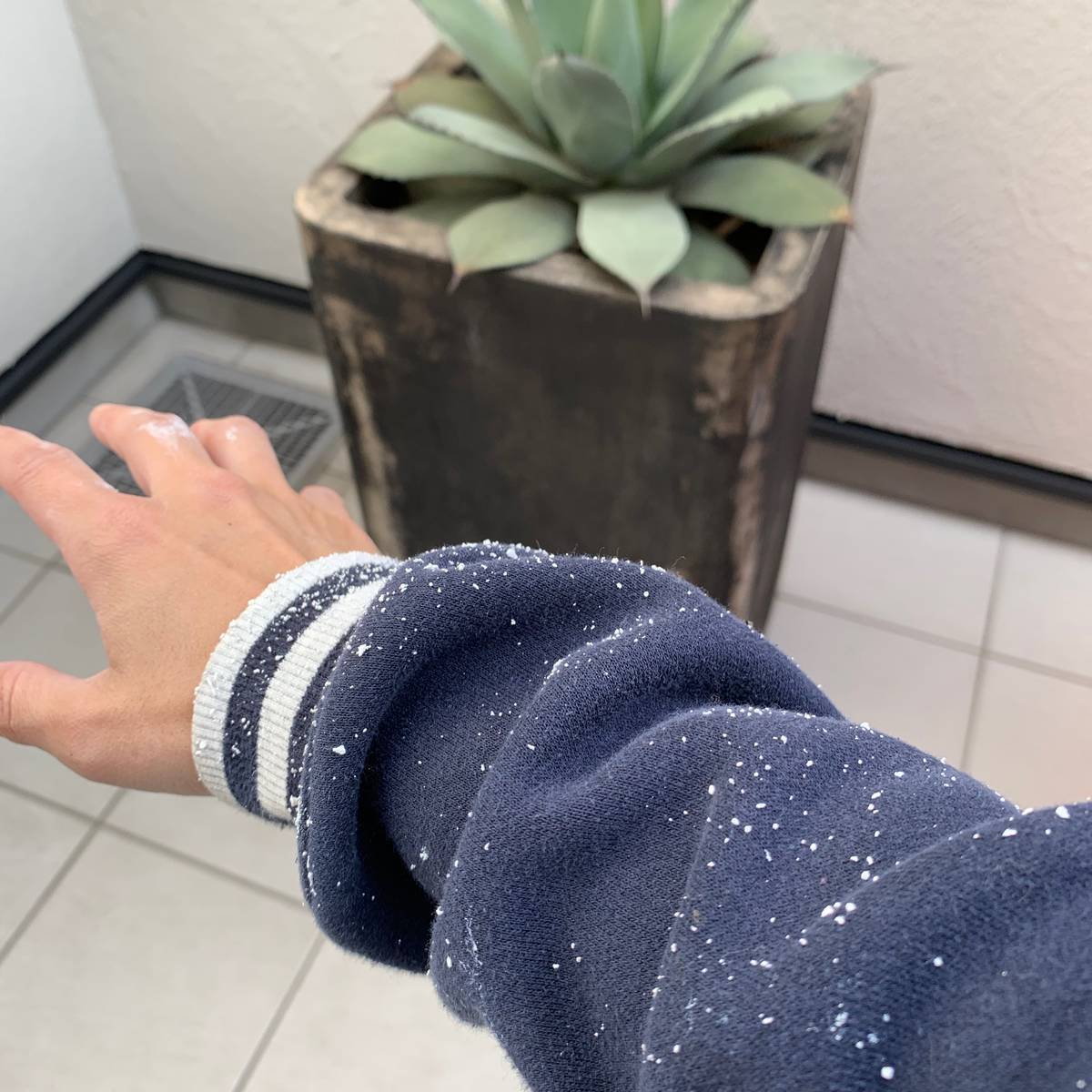 f:id:mashley_slt:20190509012654j:plain