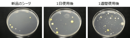 f:id:mashley_slt:20190512213246p:plain f:id:mashley_slt:20190512213246p:plain