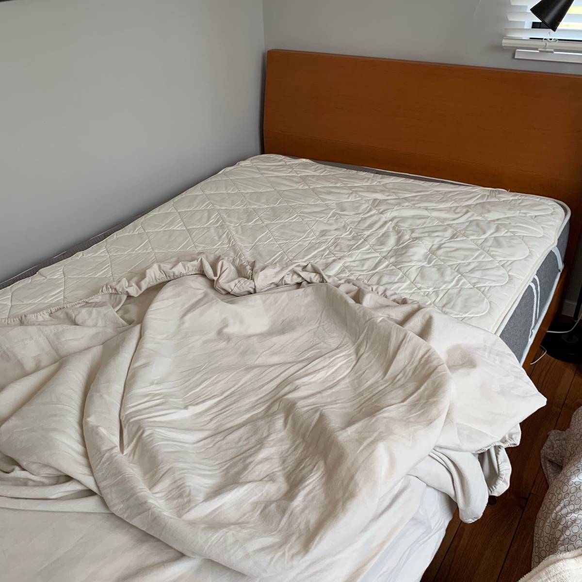 f:id:mashley_slt:20190512235149j:plain f:id:mashley_slt:20190512235149j:plain