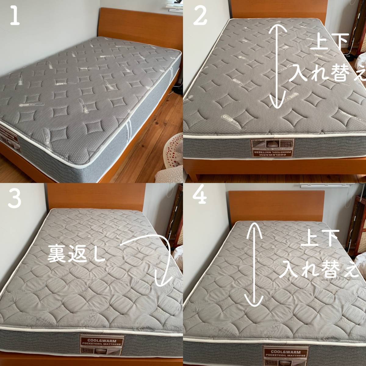 f:id:mashley_slt:20190512235745j:plain f:id:mashley_slt:20190512235745j:plain