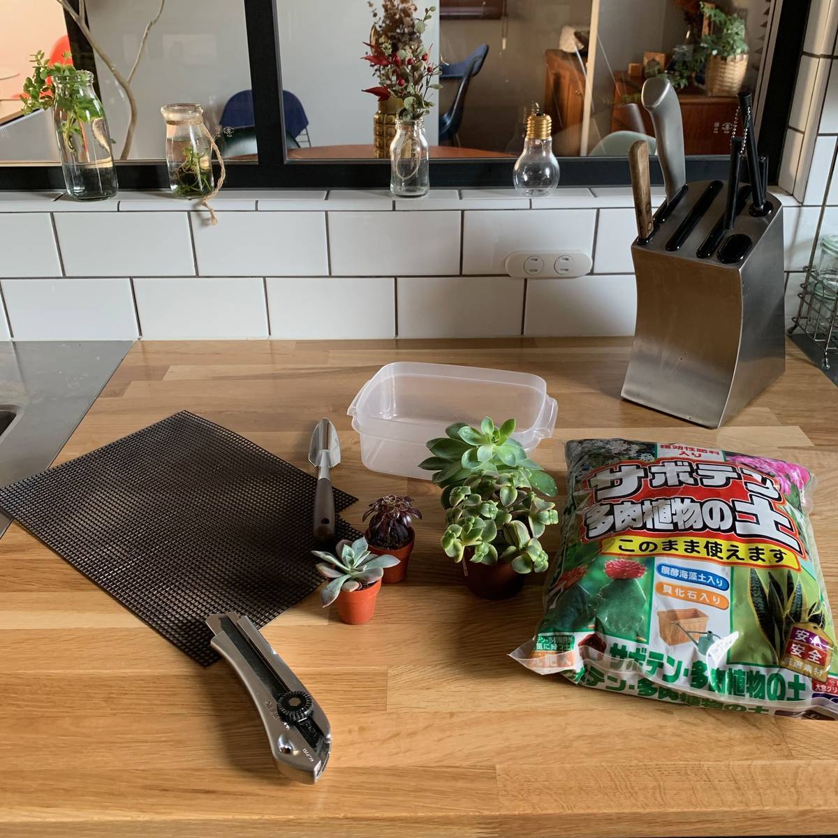 f:id:mashley_slt:20190514000029j:plain