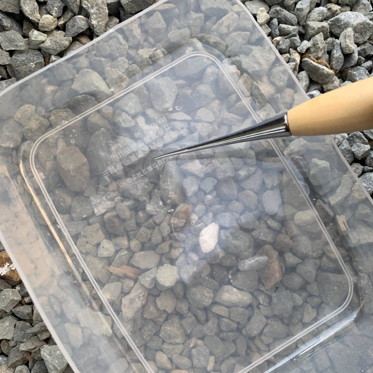 f:id:mashley_slt:20190514000305j:plain