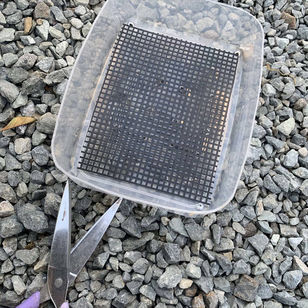 f:id:mashley_slt:20190514000541j:plain