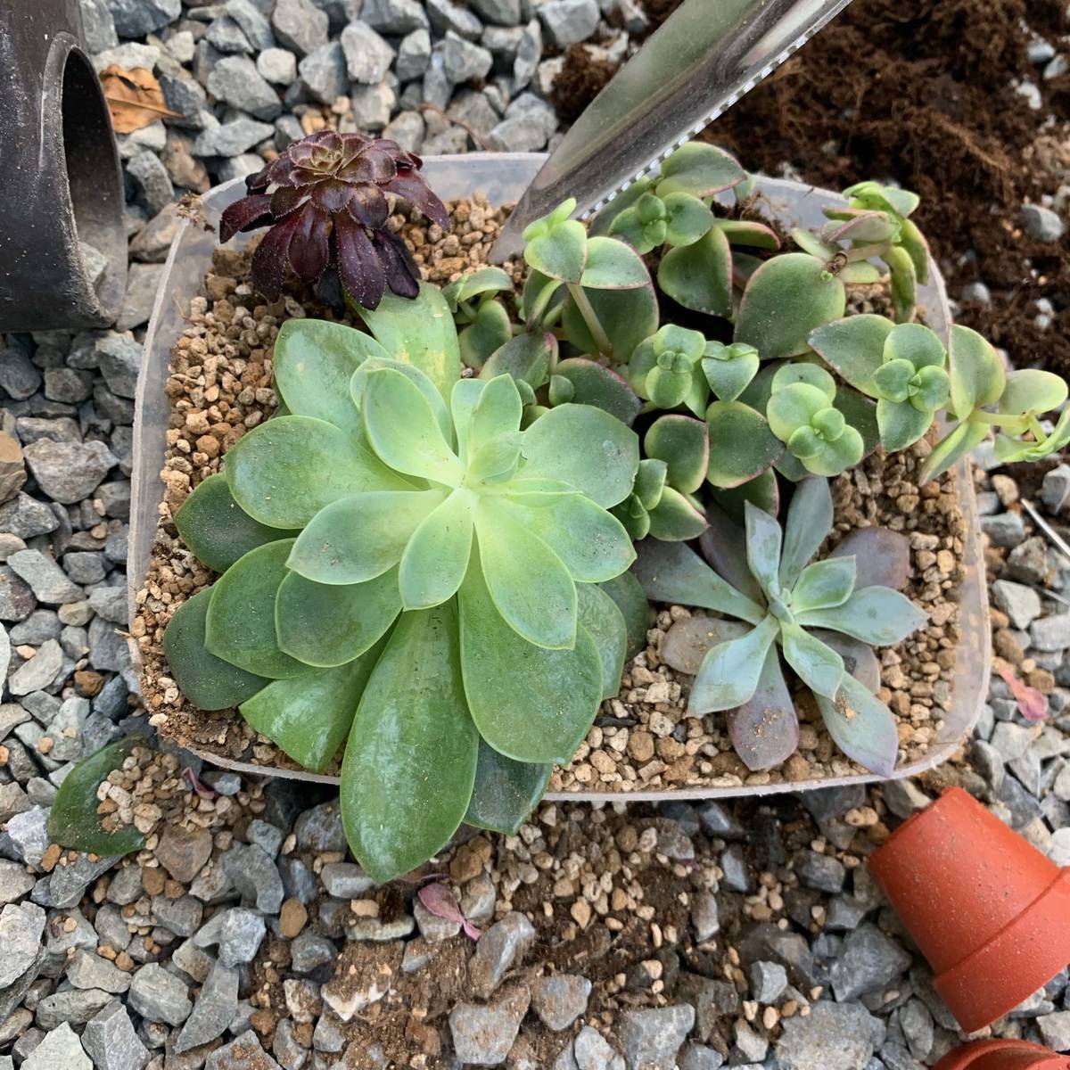 f:id:mashley_slt:20190514000725j:plain