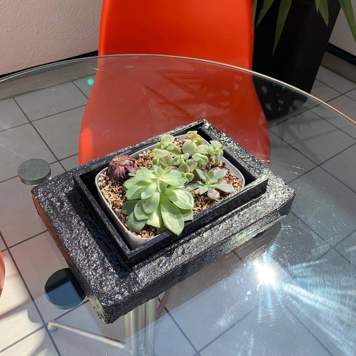 f:id:mashley_slt:20190514000905j:plain