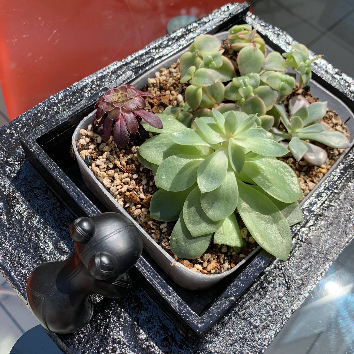 f:id:mashley_slt:20190514001022j:plain