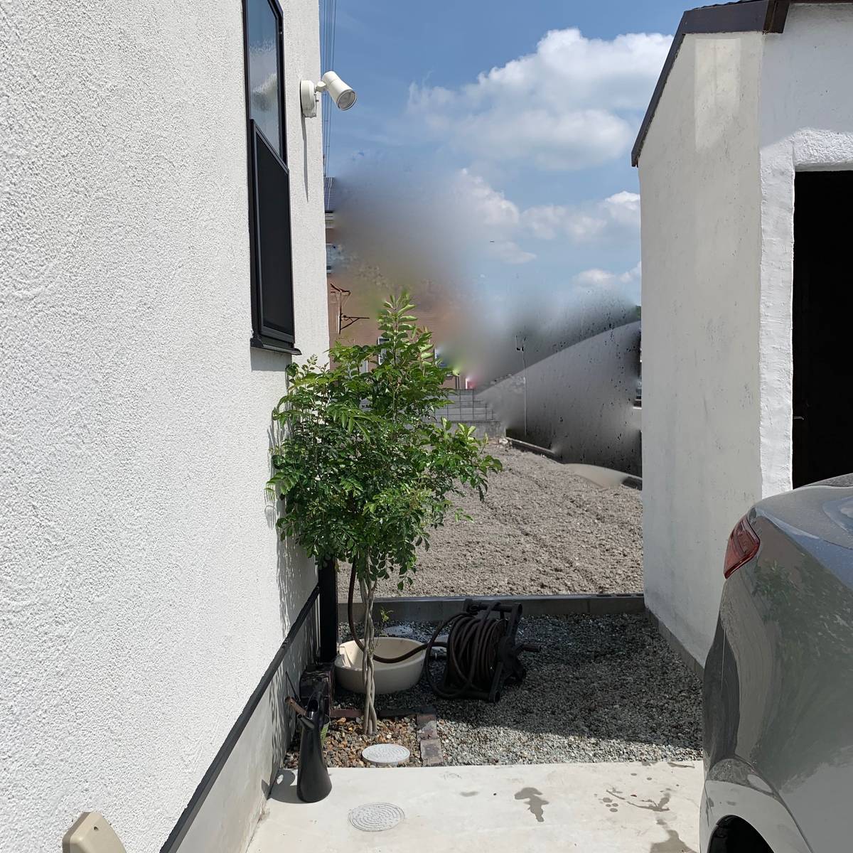 f:id:mashley_slt:20190516232118j:plain f:id:mashley_slt:20190516232118j:plain