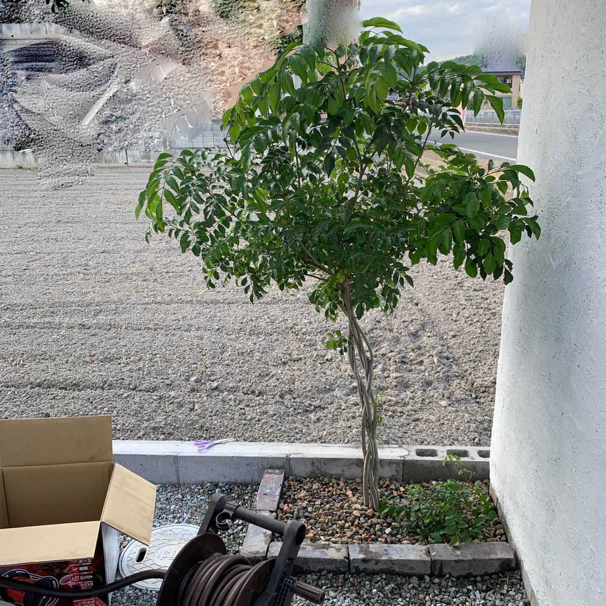 f:id:mashley_slt:20190516233219j:plain f:id:mashley_slt:20190516233219j:plain
