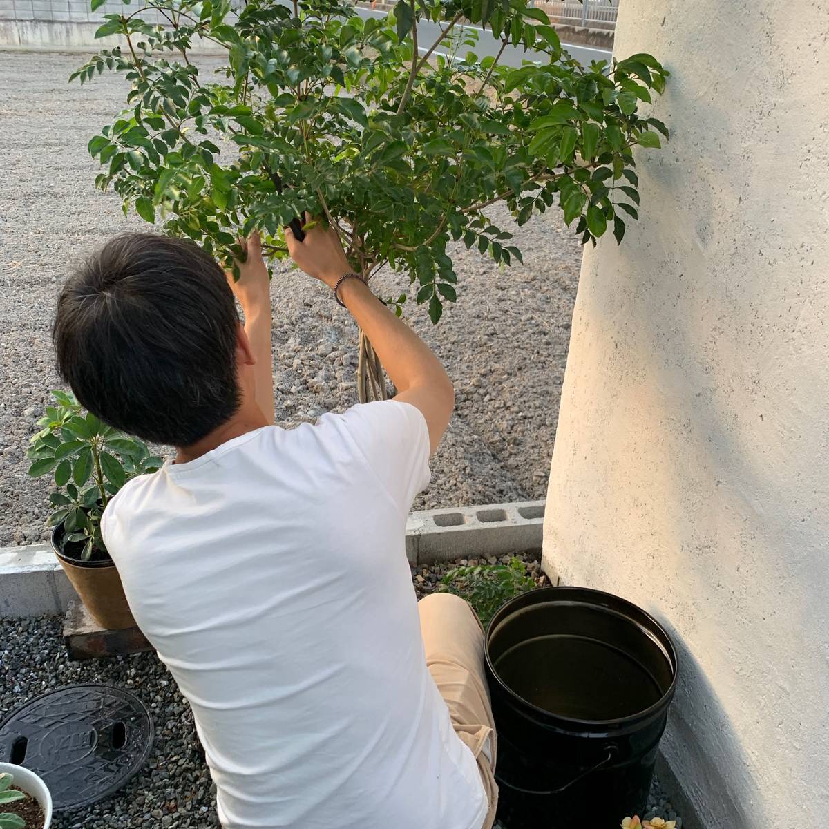 f:id:mashley_slt:20190516233259j:plain f:id:mashley_slt:20190516233259j:plain