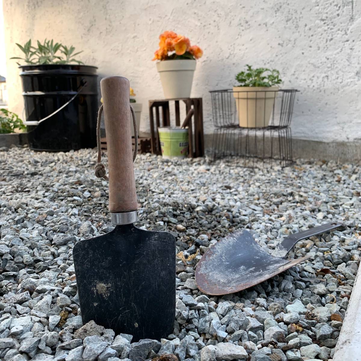 f:id:mashley_slt:20190517001055j:plain f:id:mashley_slt:20190517001055j:plain