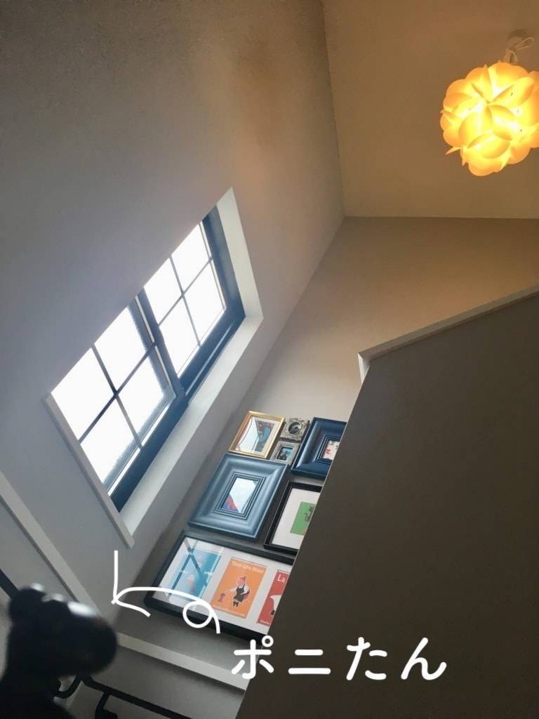 f:id:mashley_slt:20190522002219j:plain