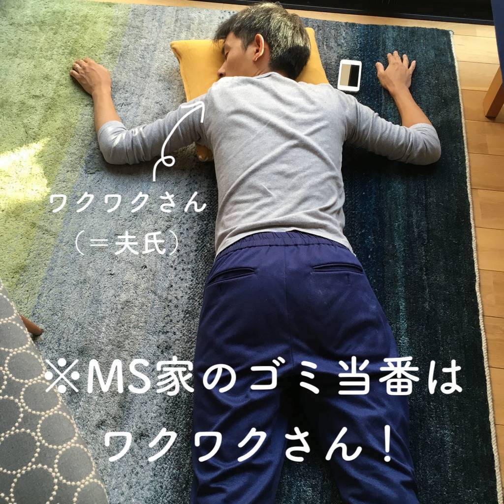 f:id:mashley_slt:20190522224550j:plain