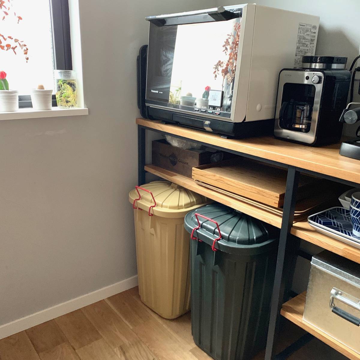 f:id:mashley_slt:20190523003927j:plain