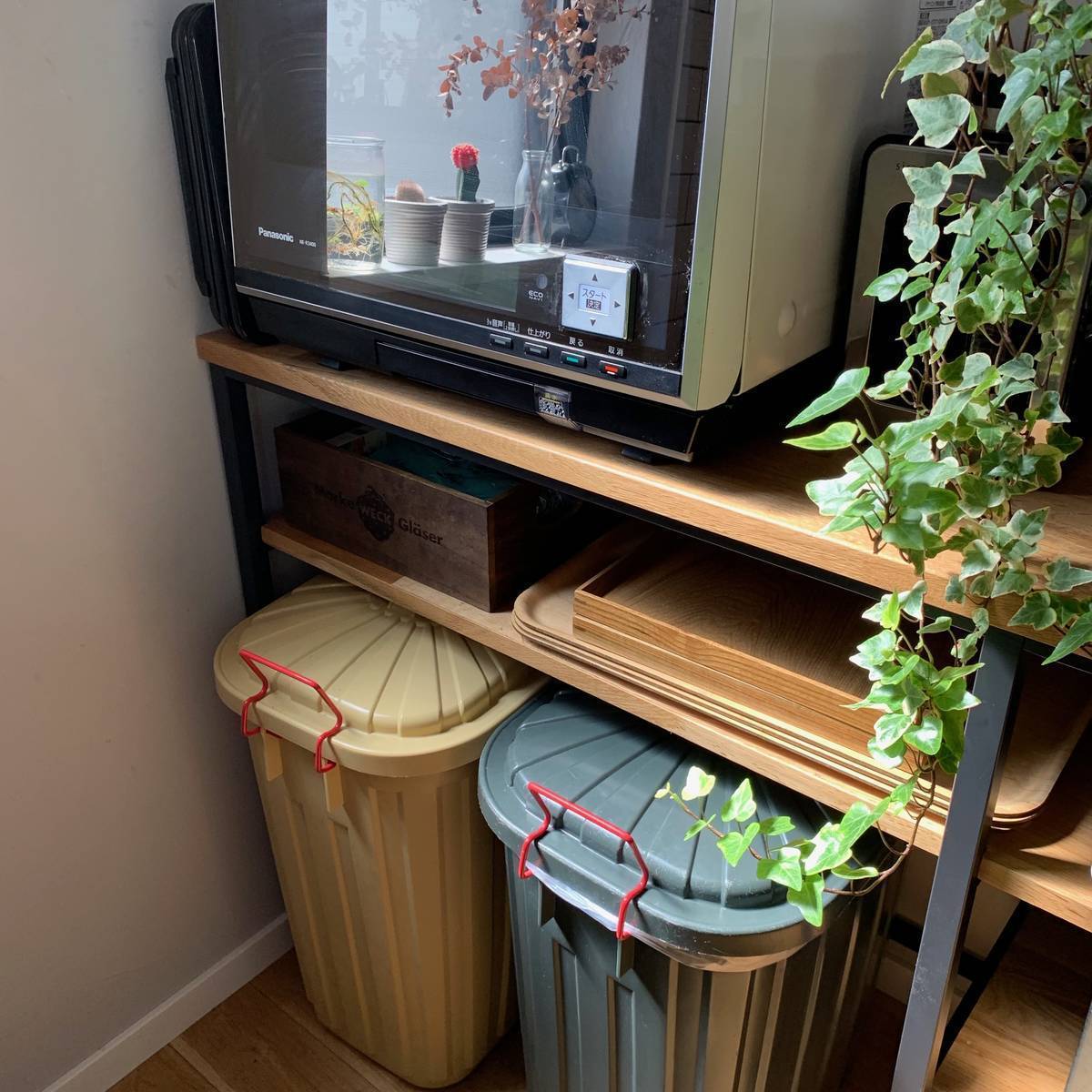 f:id:mashley_slt:20190523012002j:plain