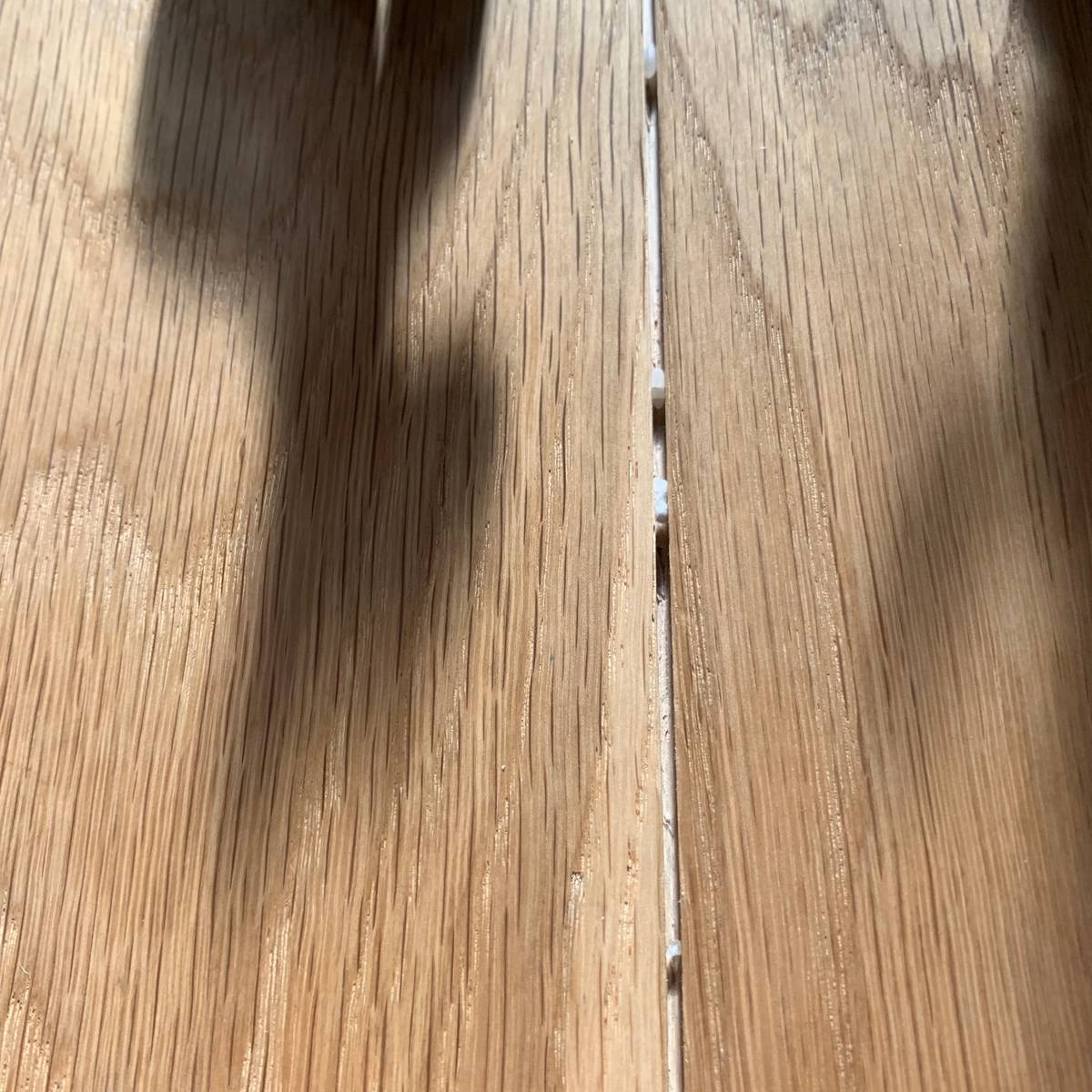 f:id:mashley_slt:20190524215045j:plain f:id:mashley_slt:20190524215045j:plain