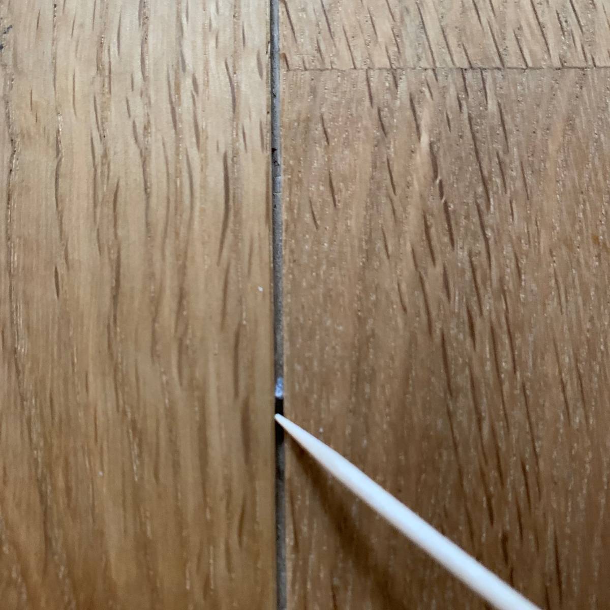 f:id:mashley_slt:20190525020717j:plain f:id:mashley_slt:20190525020717j:plain