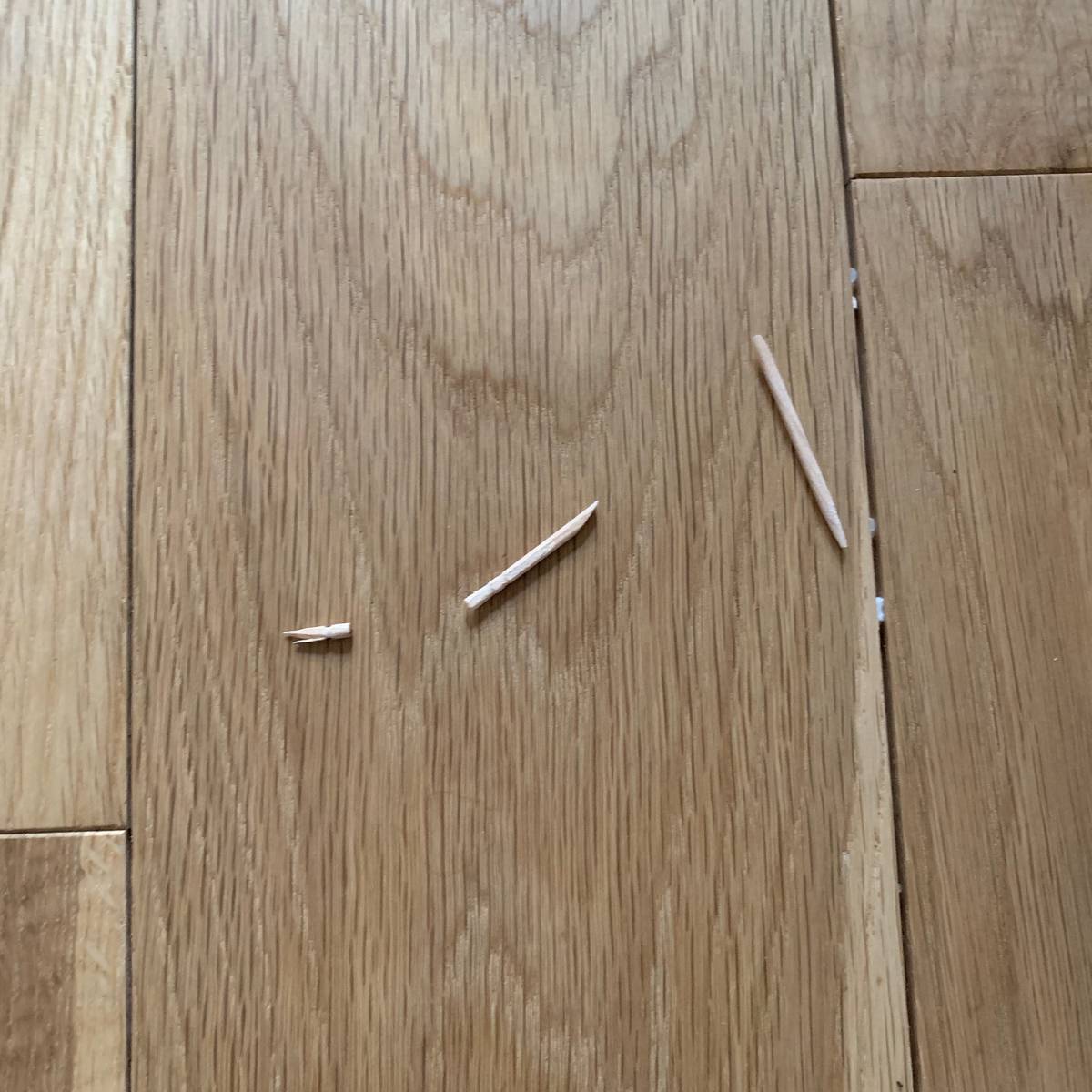 f:id:mashley_slt:20190525020757j:plain f:id:mashley_slt:20190525020757j:plain