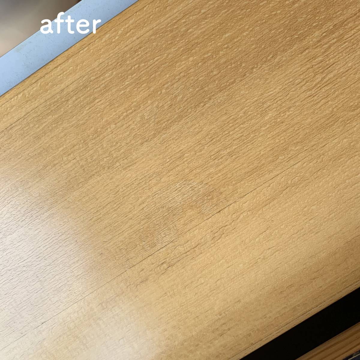 f:id:mashley_slt:20190525022622j:plain f:id:mashley_slt:20190525022622j:plain