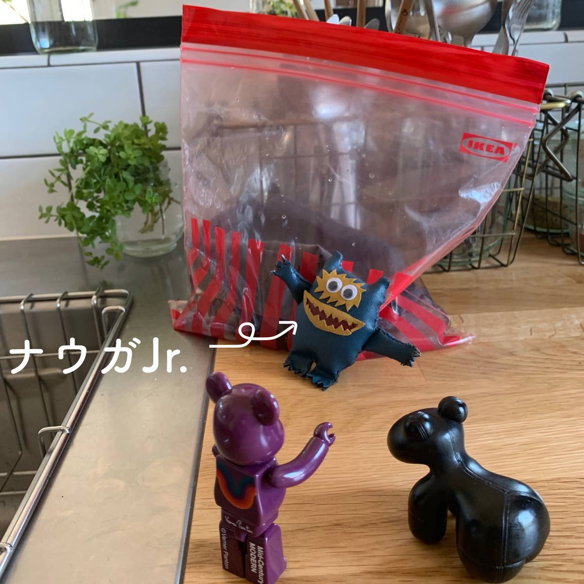 f:id:mashley_slt:20190525024218j:plain f:id:mashley_slt:20190525024218j:plain