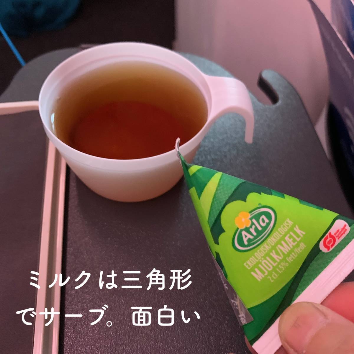 f:id:mashley_slt:20190602141722j:plain f:id:mashley_slt:20190602141722j:plain
