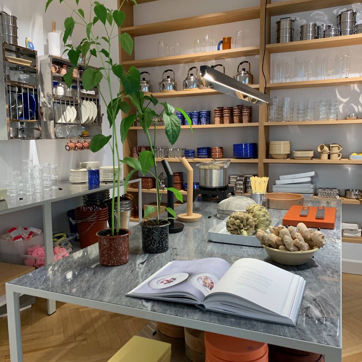 f:id:mashley_slt:20190612005831j:plain