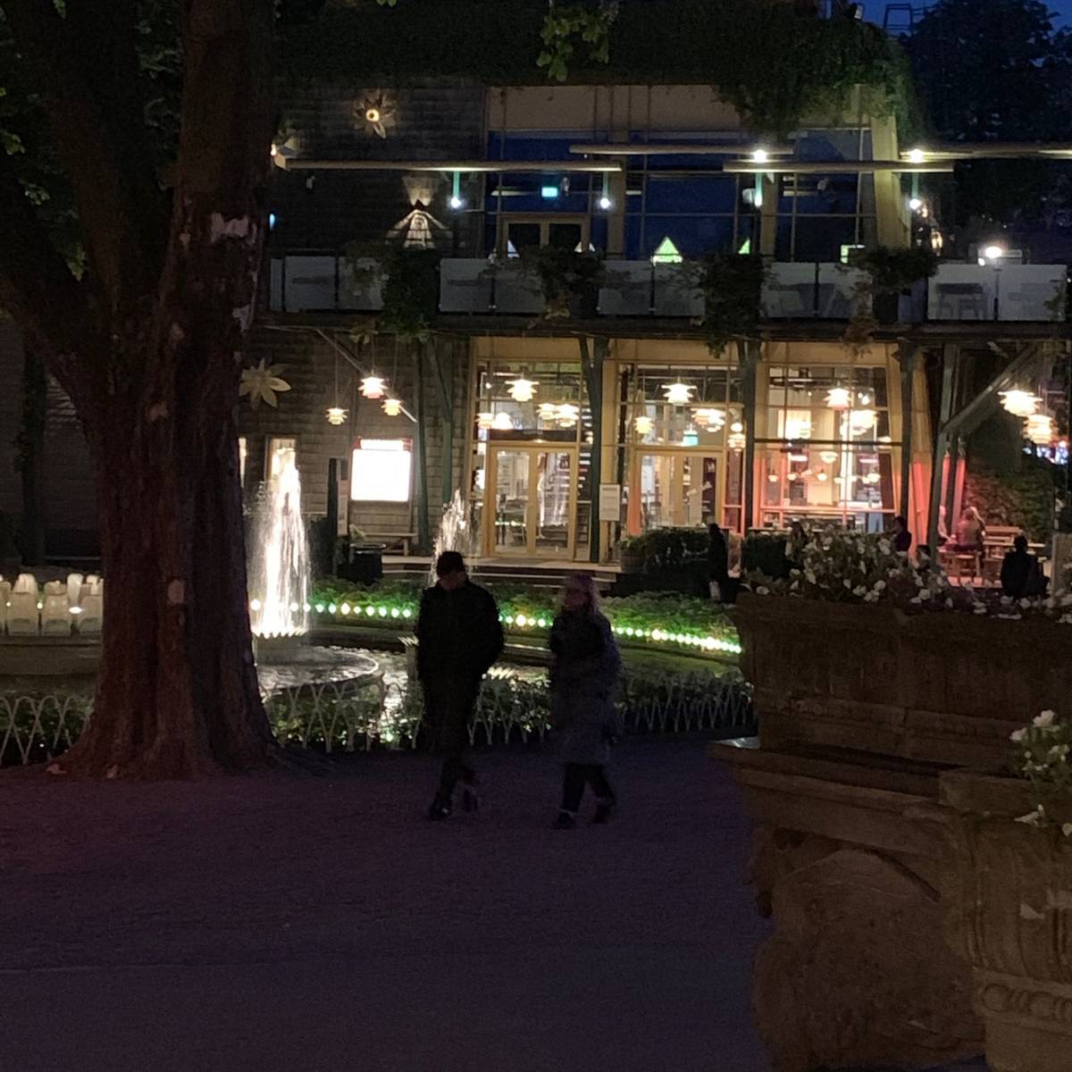 f:id:mashley_slt:20190619235946j:plain