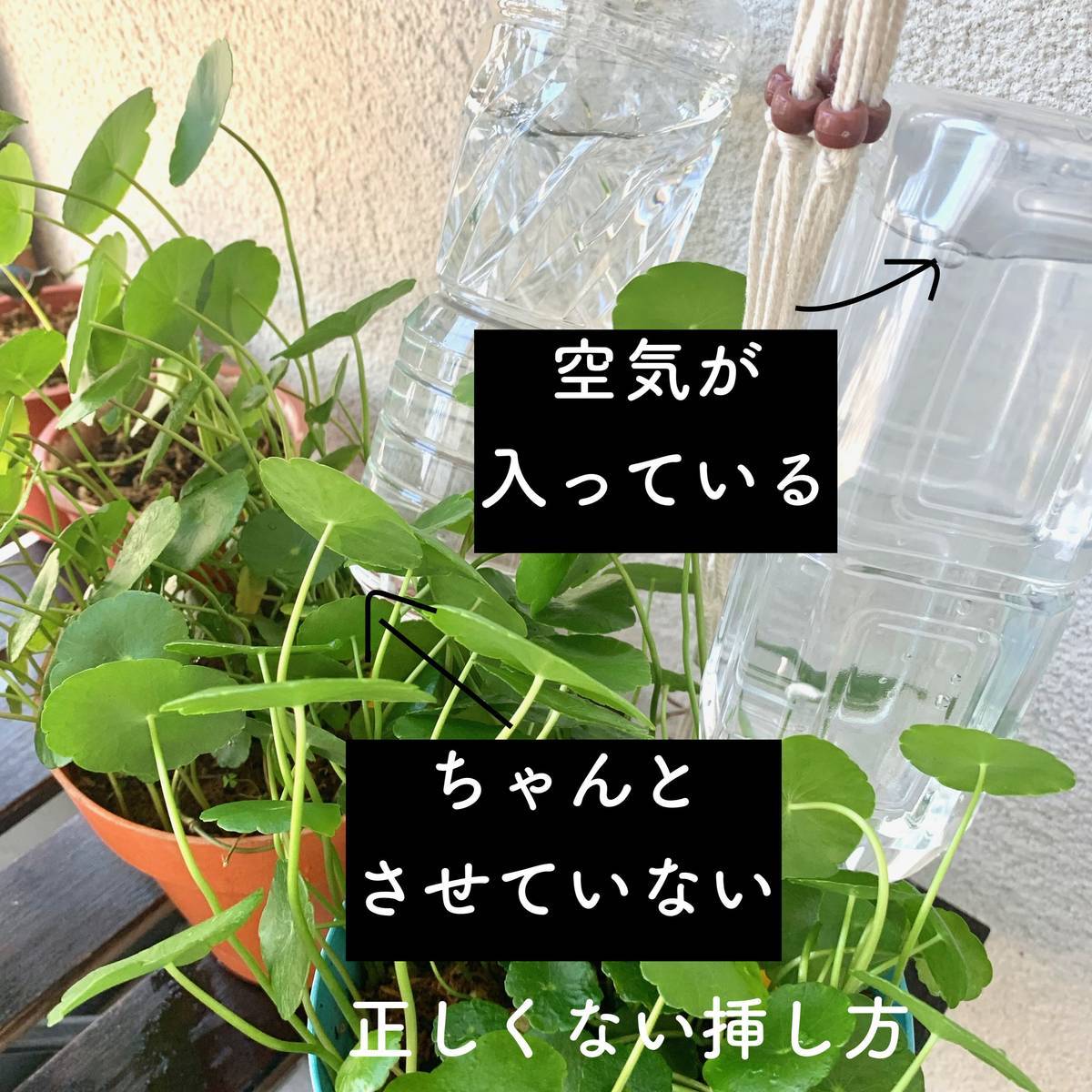 f:id:mashley_slt:20190624220205j:plain