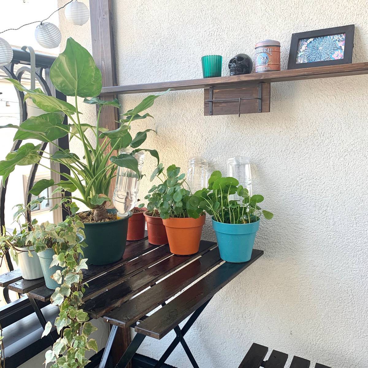 f:id:mashley_slt:20190624221027j:plain