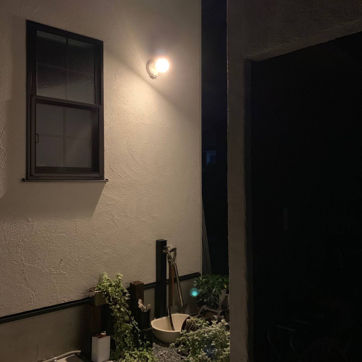 f:id:mashley_slt:20190625214317j:plain f:id:mashley_slt:20190625214317j:plain