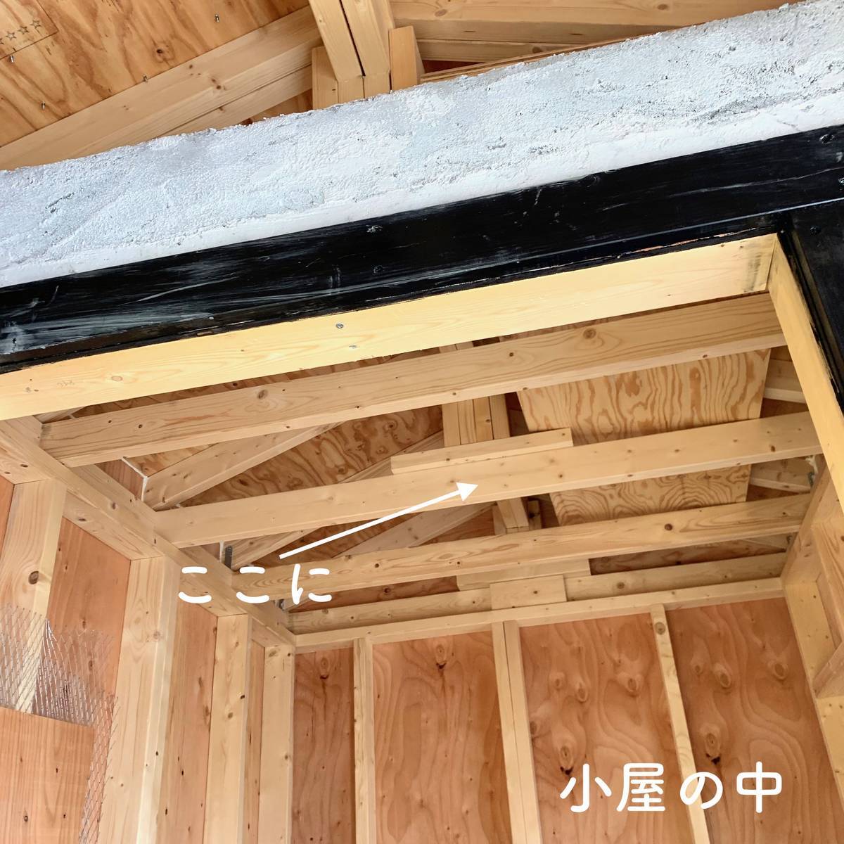 f:id:mashley_slt:20190625214511j:plain f:id:mashley_slt:20190625214511j:plain