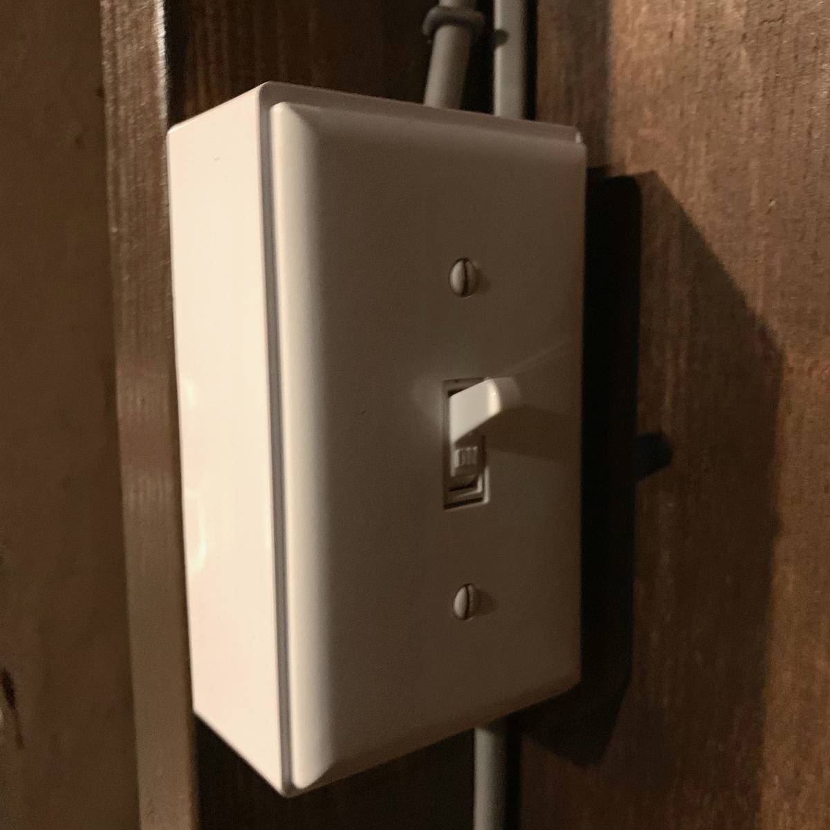 f:id:mashley_slt:20190625220818j:plain f:id:mashley_slt:20190625220818j:plain