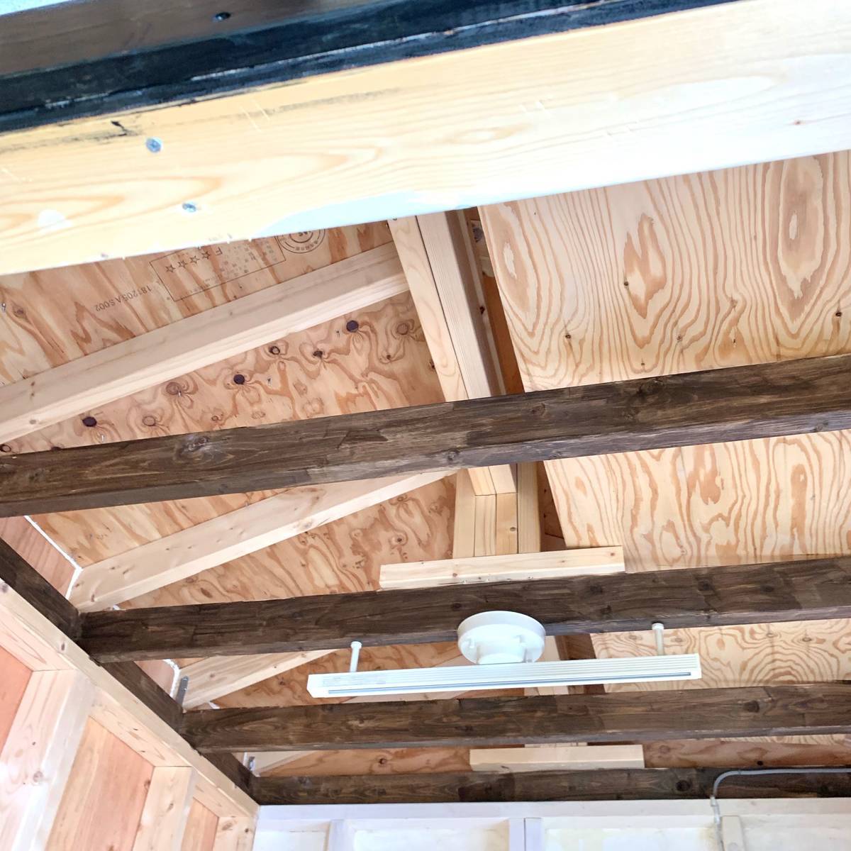 f:id:mashley_slt:20190625221245j:plain f:id:mashley_slt:20190625221245j:plain