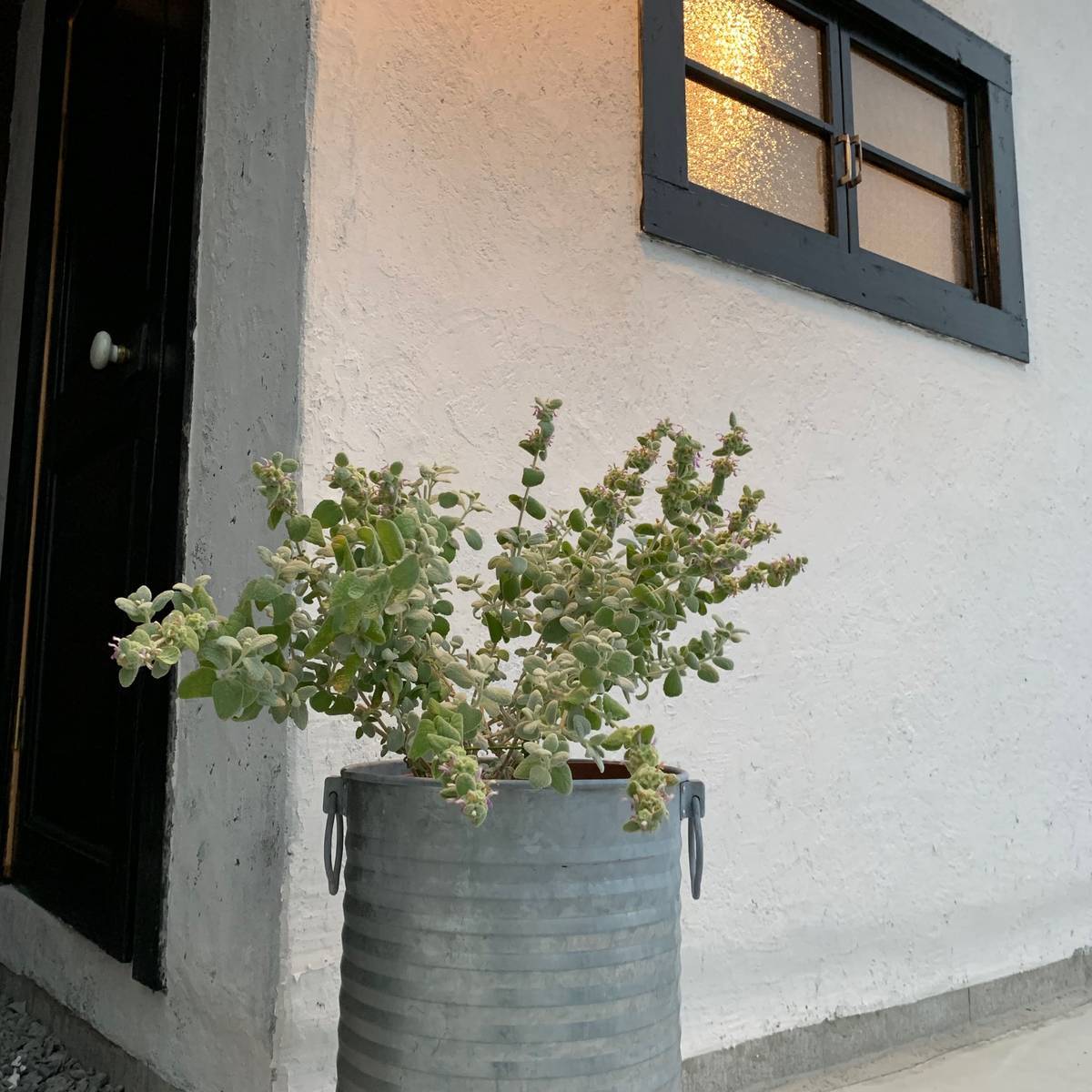 f:id:mashley_slt:20190625230937j:plain f:id:mashley_slt:20190625230937j:plain