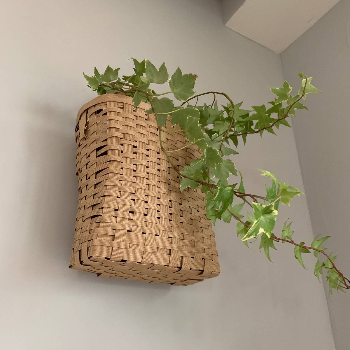 f:id:mashley_slt:20190702013308j:plain