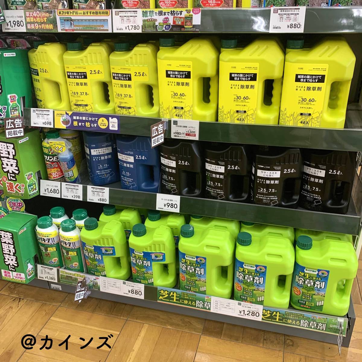 f:id:mashley_slt:20190714013753j:plain f:id:mashley_slt:20190714013753j:plain