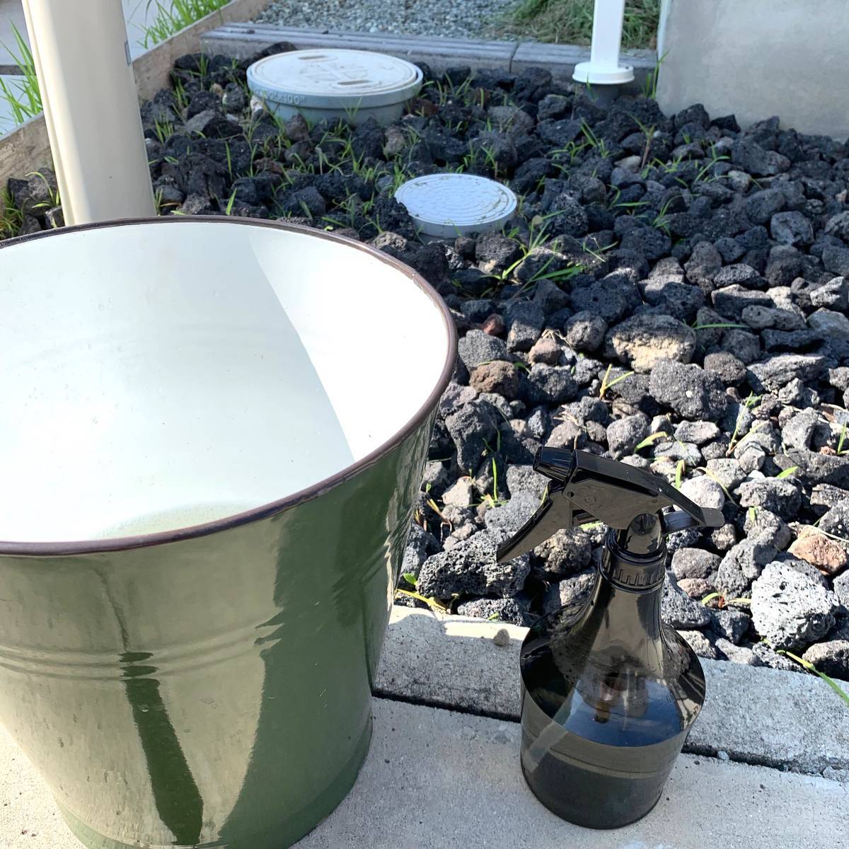 f:id:mashley_slt:20190714014440j:plain f:id:mashley_slt:20190714014440j:plain