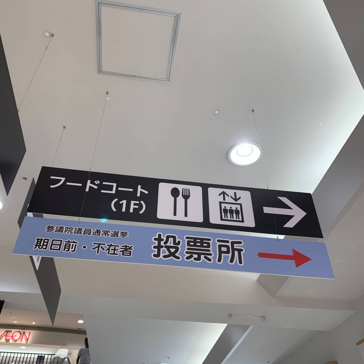 f:id:mashley_slt:20190719210109j:plain