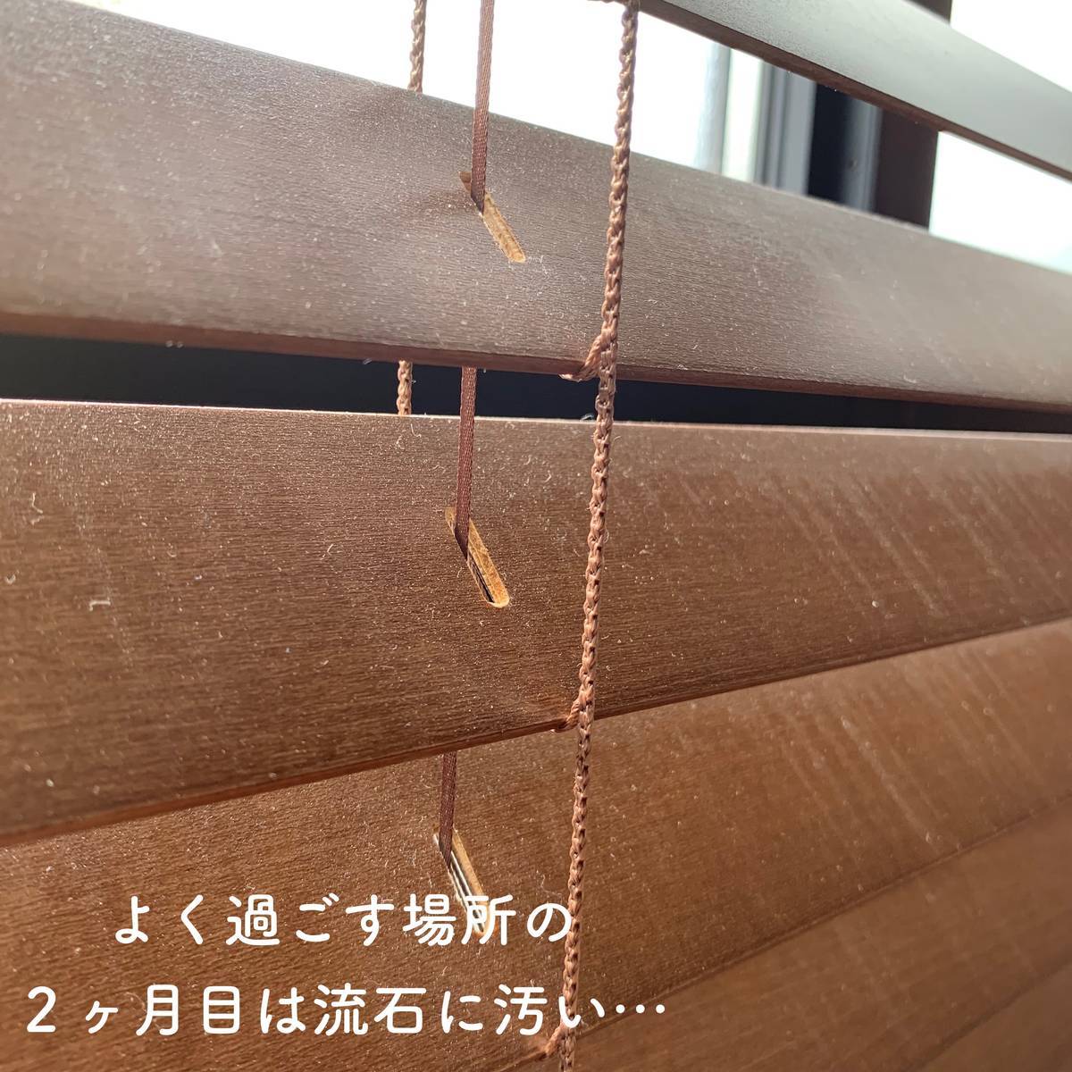 f:id:mashley_slt:20190719220927j:plain