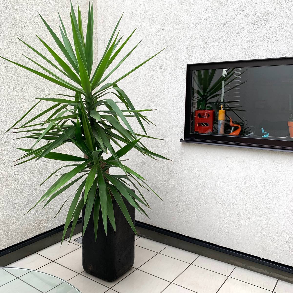 f:id:mashley_slt:20190721215848j:plain f:id:mashley_slt:20190721215848j:plain