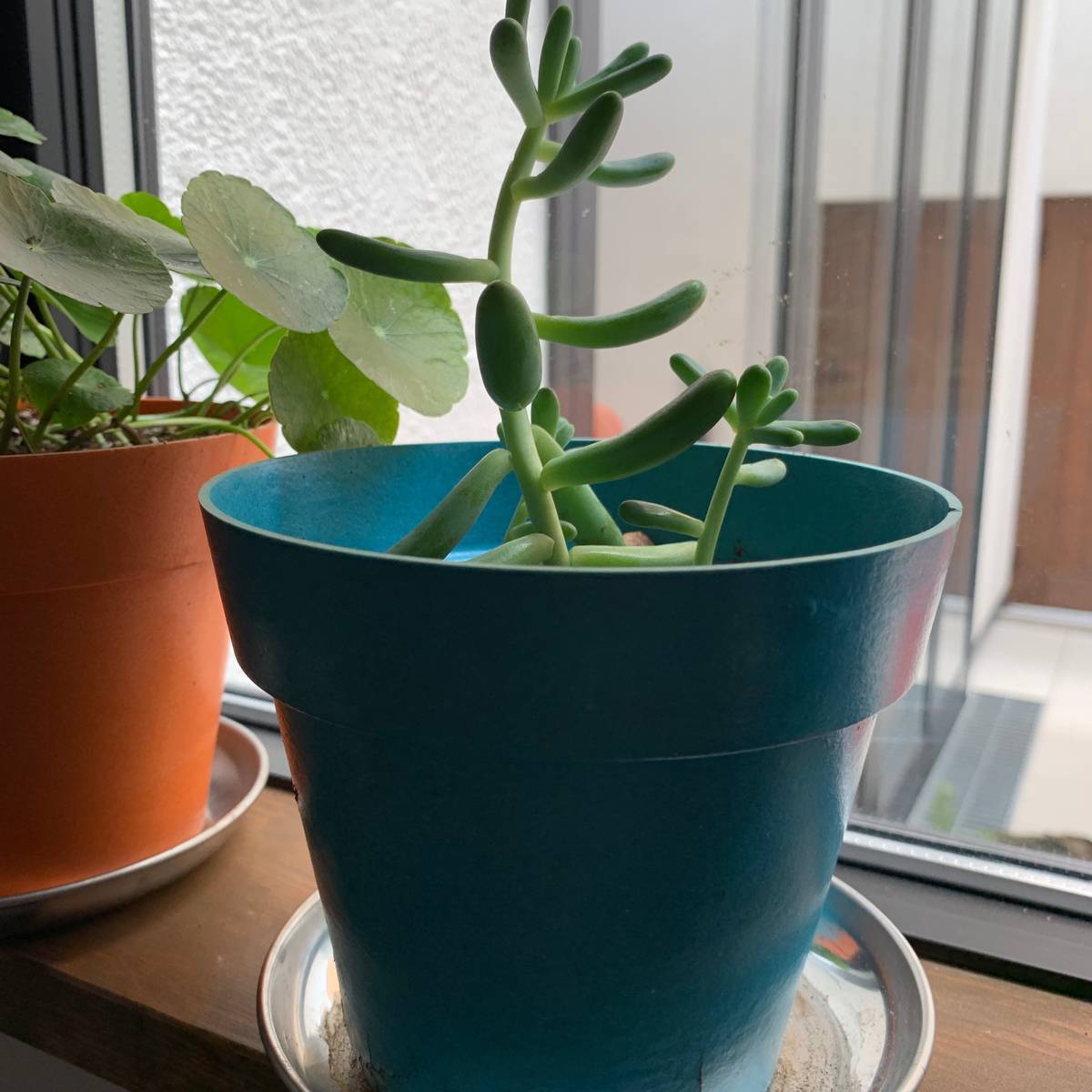 f:id:mashley_slt:20190721220409j:plain f:id:mashley_slt:20190721220409j:plain
