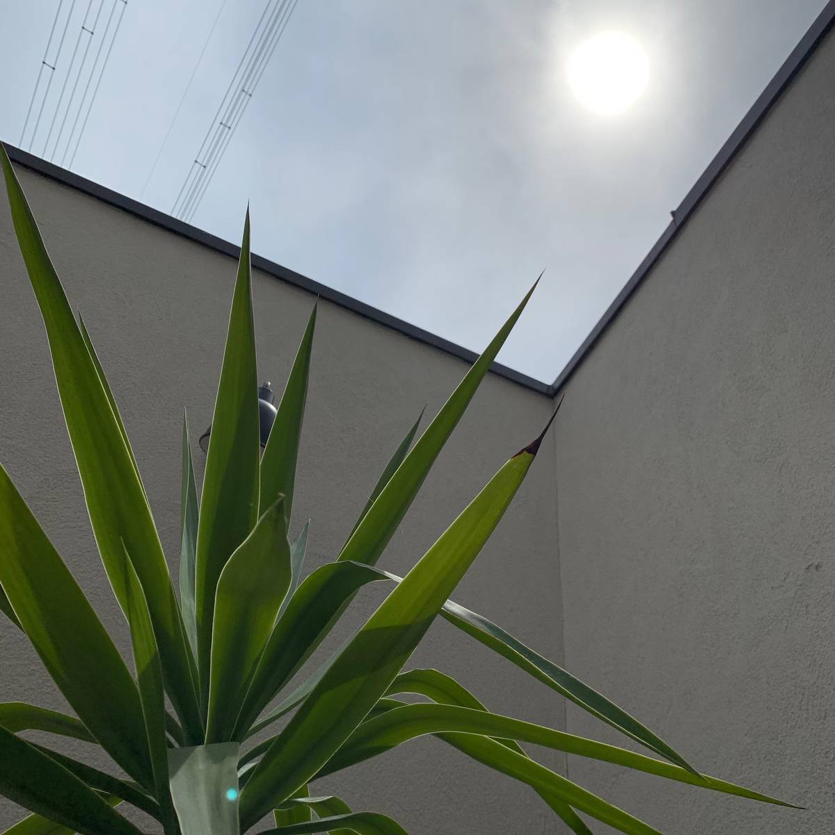 f:id:mashley_slt:20190721220746j:plain f:id:mashley_slt:20190721220746j:plain