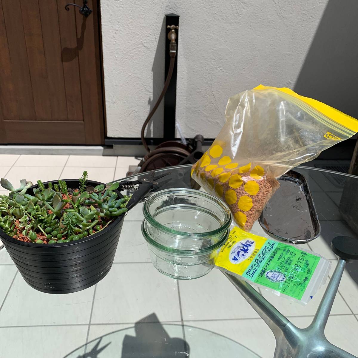 f:id:mashley_slt:20190721221337j:plain f:id:mashley_slt:20190721221337j:plain